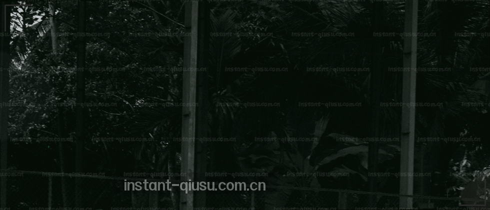 一位用户的手指悬停在“同意”按钮上，锁形图标在背景中发光。